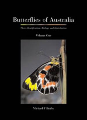 Cover of the book Butterflies of Australia by Robin and the Honey Badger