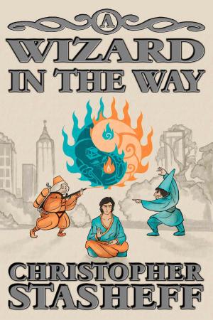 Cover of the book A Wizard in the Way by Christopher Stasheff