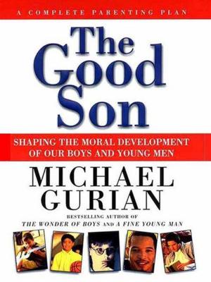 bigCover of the book The Good Son by 