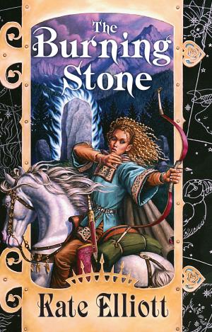 Cover of the book The Burning Stone by Claire Monserrat Jackson