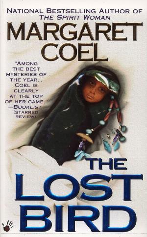 Cover of the book The Lost Bird by Roger Fisher, Daniel Shapiro