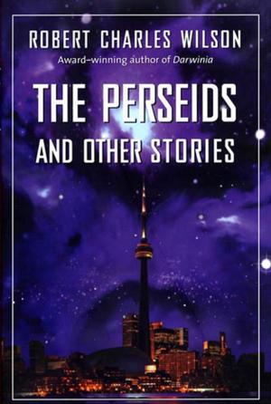 Book cover of The Perseids and Other Stories
