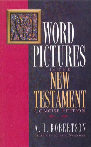 Cover of the book Word Pictures in the New Testament by John Borek, Danny Lovett, Elmer L. Towns