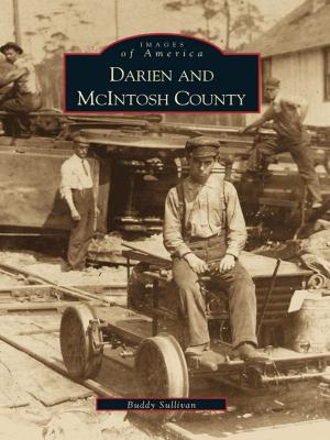 Cover of the book Darien and McIntosh County by Ed Macy, Geordie Buxton, Glenna Ellen McKenzie, Julie Scofield