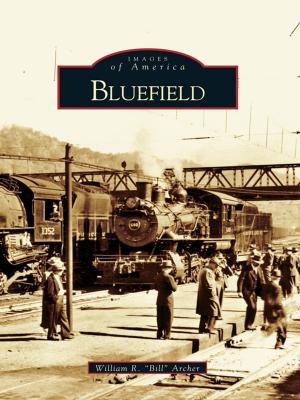Cover of the book Bluefield by Janice Oberding