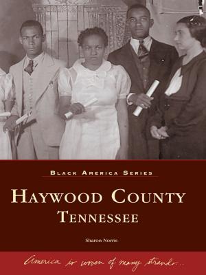 Cover of the book Haywood County, Tennessee by Kevin Grace