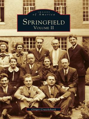 Cover of the book Springfield by Mark A. Stevens, A.J. 'Alf' Peoples