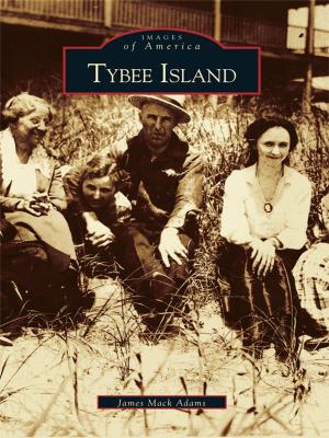 Cover of the book Tybee Island by Bernadette J. Palombo, Gary D. Joiner, W. Chris Hale, Cheryl H. White