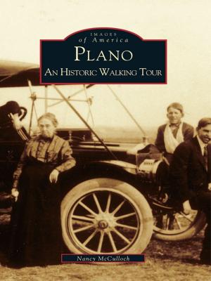 Cover of the book Plano by Larry E. Morris