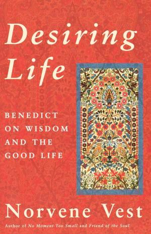 Cover of the book Desiring Life by Cynthia Bourgeault