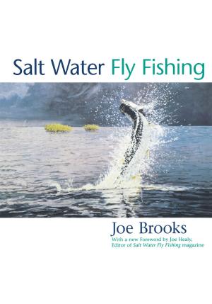 Book cover of Salt Water Fly Fishing