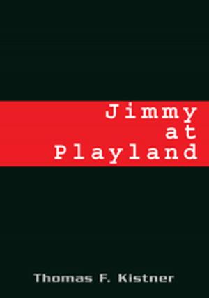 Cover of the book Jimmy at Playland by BJ JOHNSON