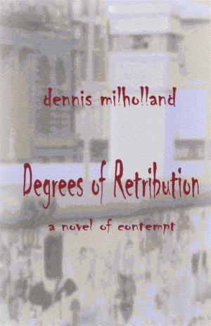 Cover of the book Degrees of Retribution by Brett Hosmer