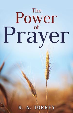 Cover of the book The Power of Prayer by Doug Stringer