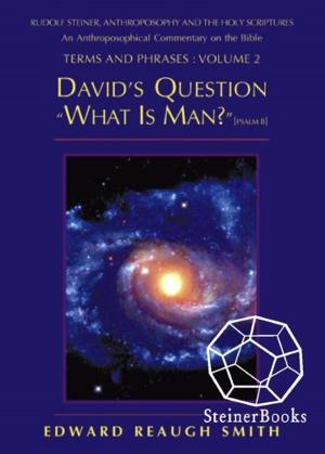 Book cover of David's Question: What is Man?