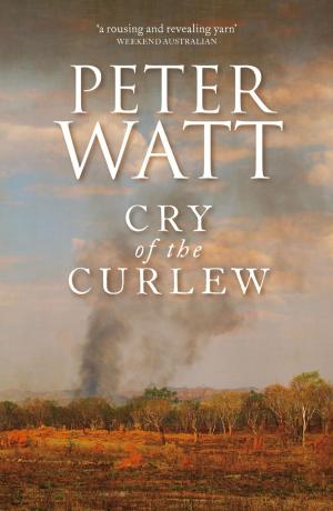 Cover of Cry of the Curlew: The Frontier Series 1