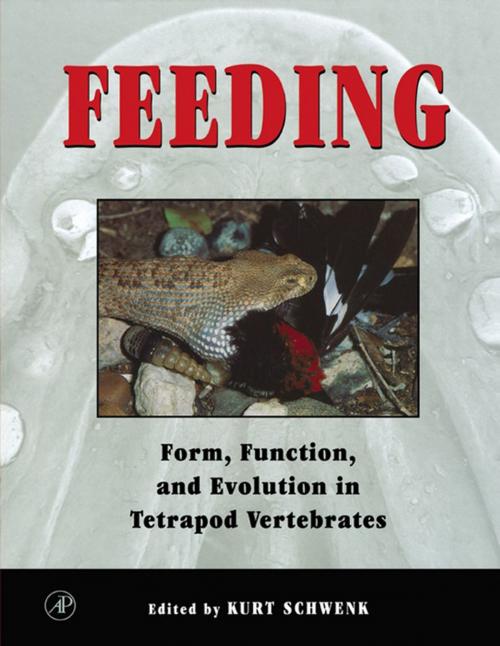 Cover of the book Feeding by , Elsevier Science