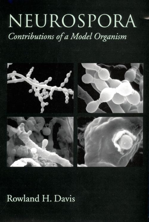 Cover of the book Neurospora by Rowland H. Davis, Oxford University Press