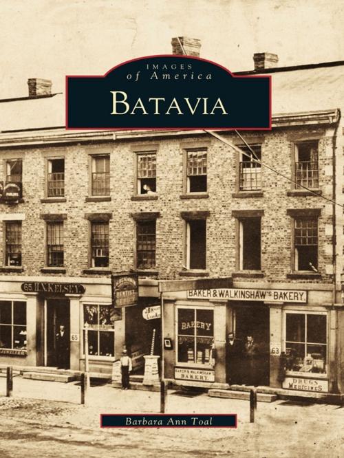 Cover of the book Batavia by Barbara Ann Toal, Arcadia Publishing Inc.