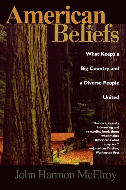 Cover of the book American Beliefs by John Harmon McElroy, Ivan R. Dee