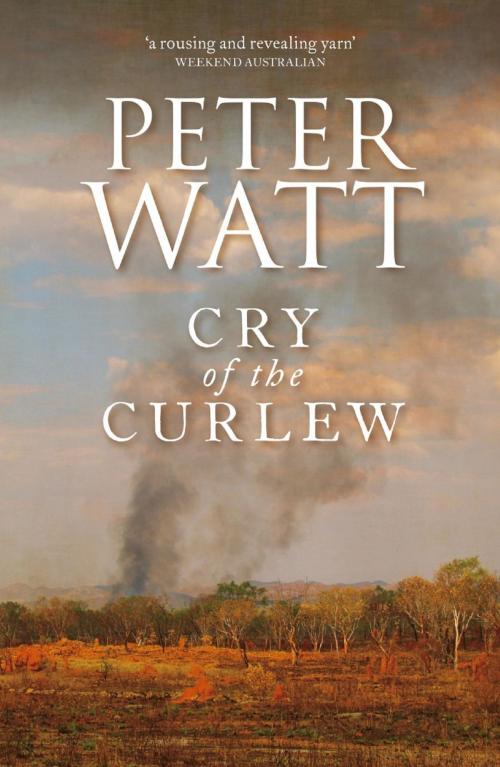 Cover of the book Cry of the Curlew: The Frontier Series 1 by Peter Watt, Pan Macmillan Australia