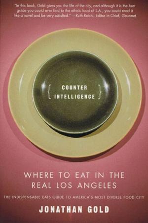 Cover of the book Counter Intelligence by Julia Keller