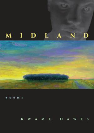 Cover of the book Midland by Gebreyesus Hailu