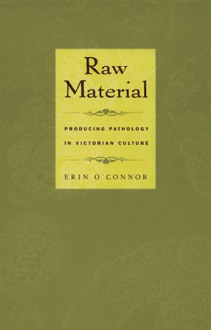 Cover of the book Raw Material by Stefan Mattessich, Stanley Fish, Fredric Jameson