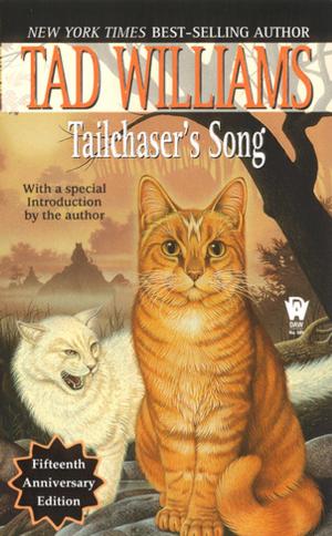 Cover of the book Tailchaser's Song by C.S. Friedman