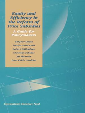 Cover of the book Equity and Efficiency in the Reform of Price Subsidies: A Guide for Policymakers by Carol Mrs. Carson, Claudia Ms. Dziobek, Charles Mr. Enoch