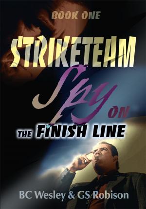 Cover of the book Striketeam Book One by K. Osborn Sullivan