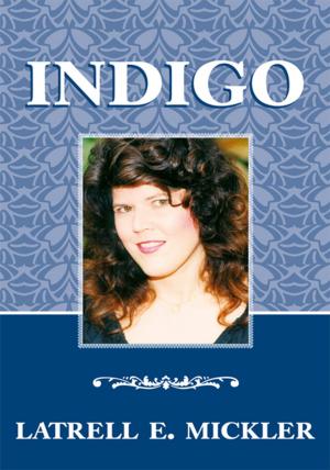 Cover of the book Indigo by Judy Goetz Sanger