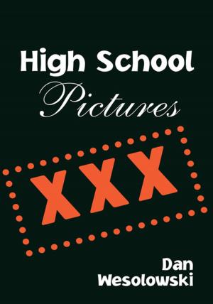 Cover of the book High School Pictures by Alan Holmes