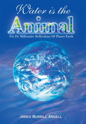 Cover of the book Water Is the Animal by Daniel B. Hunt