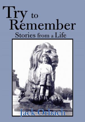 Cover of the book Try to Remember by Ken Hultman