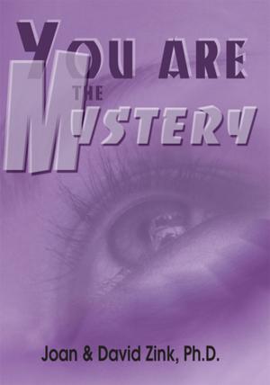 Cover of the book You Are the Mystery by Joseph Lanciotti
