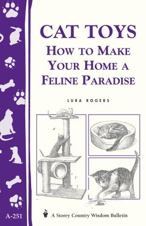 Cover of the book Cat Toys by Margaret M. Donahue, Elizabeth MacCrellish, Katherine Olaksen