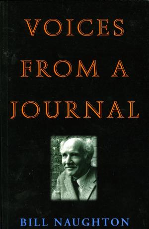 Cover of the book Voices from a Journal by Ciaran Carty