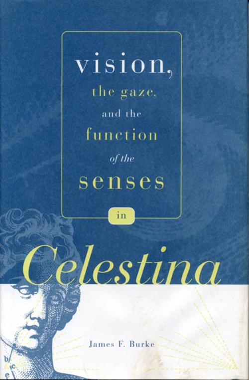 Cover of the book Vision, the Gaze, and the Function of the Senses in “Celestina” by James F. Burke, Penn State University Press