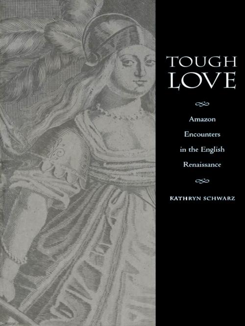 Cover of the book Tough Love by Kathryn Schwarz, Duke University Press