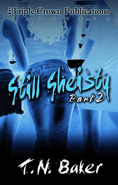 Cover of the book Still Sheisty by T.N. Baker, Triple Crown Publications