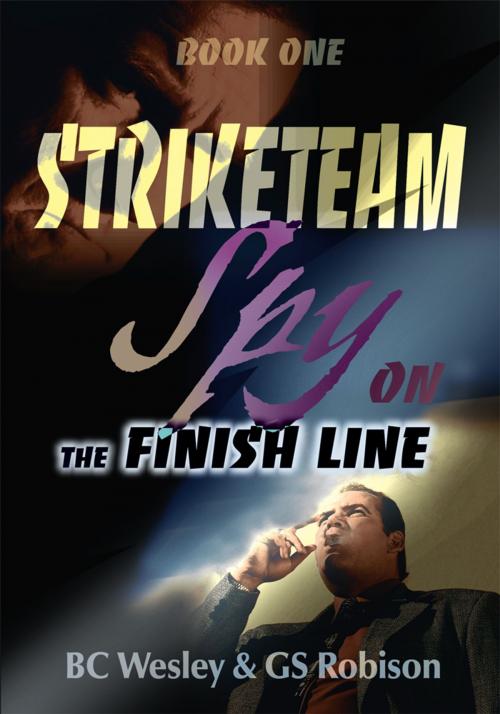 Cover of the book Striketeam Book One by BC Wesley, GS Robison, iUniverse