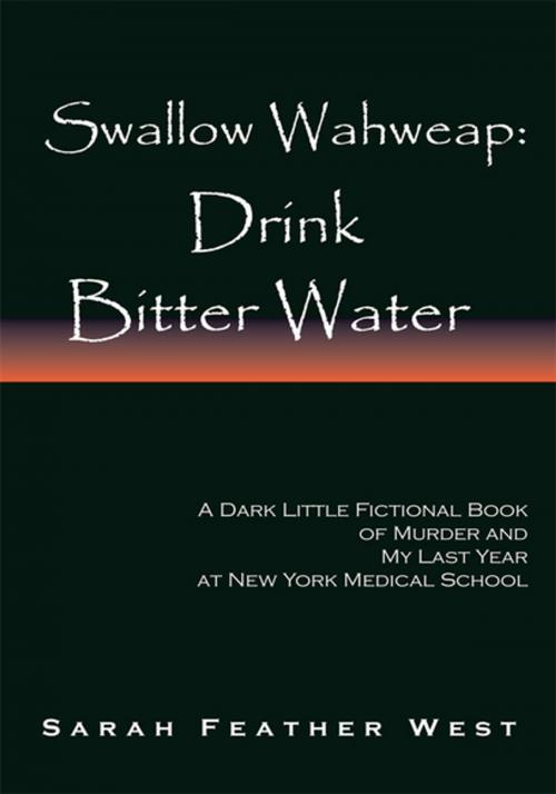 Cover of the book Swallow Wahweap: Drink Bitter Water by Sarah Feather West, Xlibris US