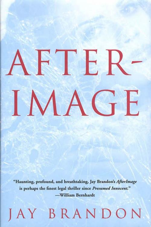 Cover of the book Afterimage by Jay Brandon, Tom Doherty Associates
