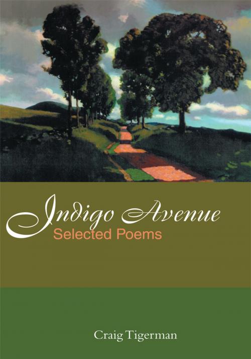 Cover of the book Indigo Avenue by Craig Tigerman, iUniverse