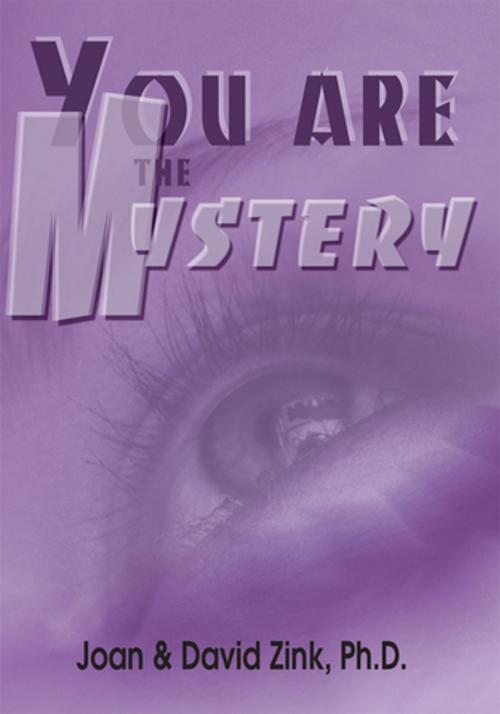 Cover of the book You Are the Mystery by David D Zink, iUniverse