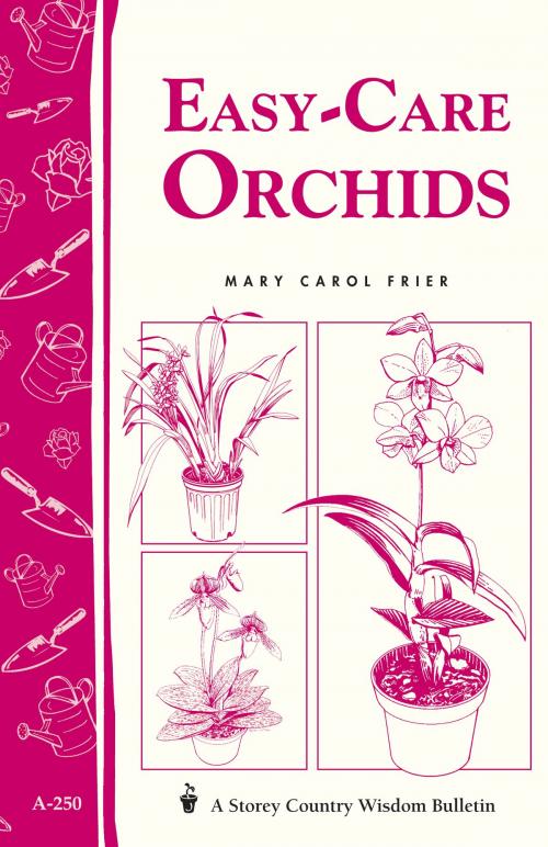 Cover of the book Easy-Care Orchids by Mary Carol Frier, Storey Publishing, LLC