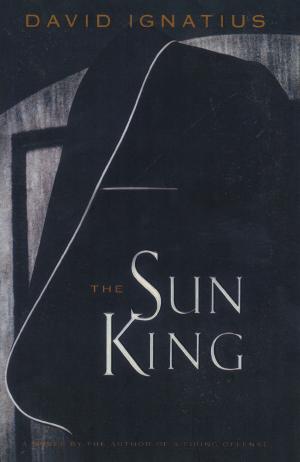 Cover of the book The Sun King by Stephen Williams