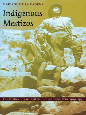 Cover of the book Indigenous Mestizos by Jane Gallop