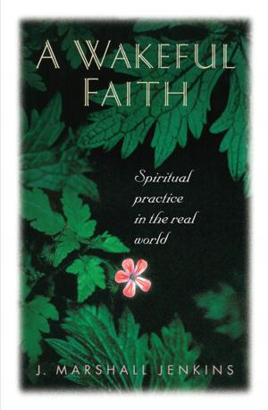 Cover of the book A Wakeful Faith by Patricia Wilson